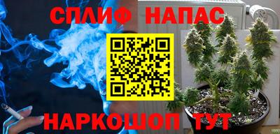 ГАЛЛЮЦИНОГЕННЫЕ ГРИБЫ Волжский