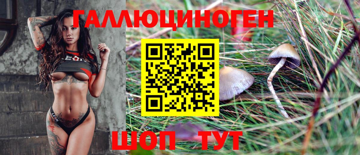 Псилоцибиновые грибы GOLDEN TEACHER Березники